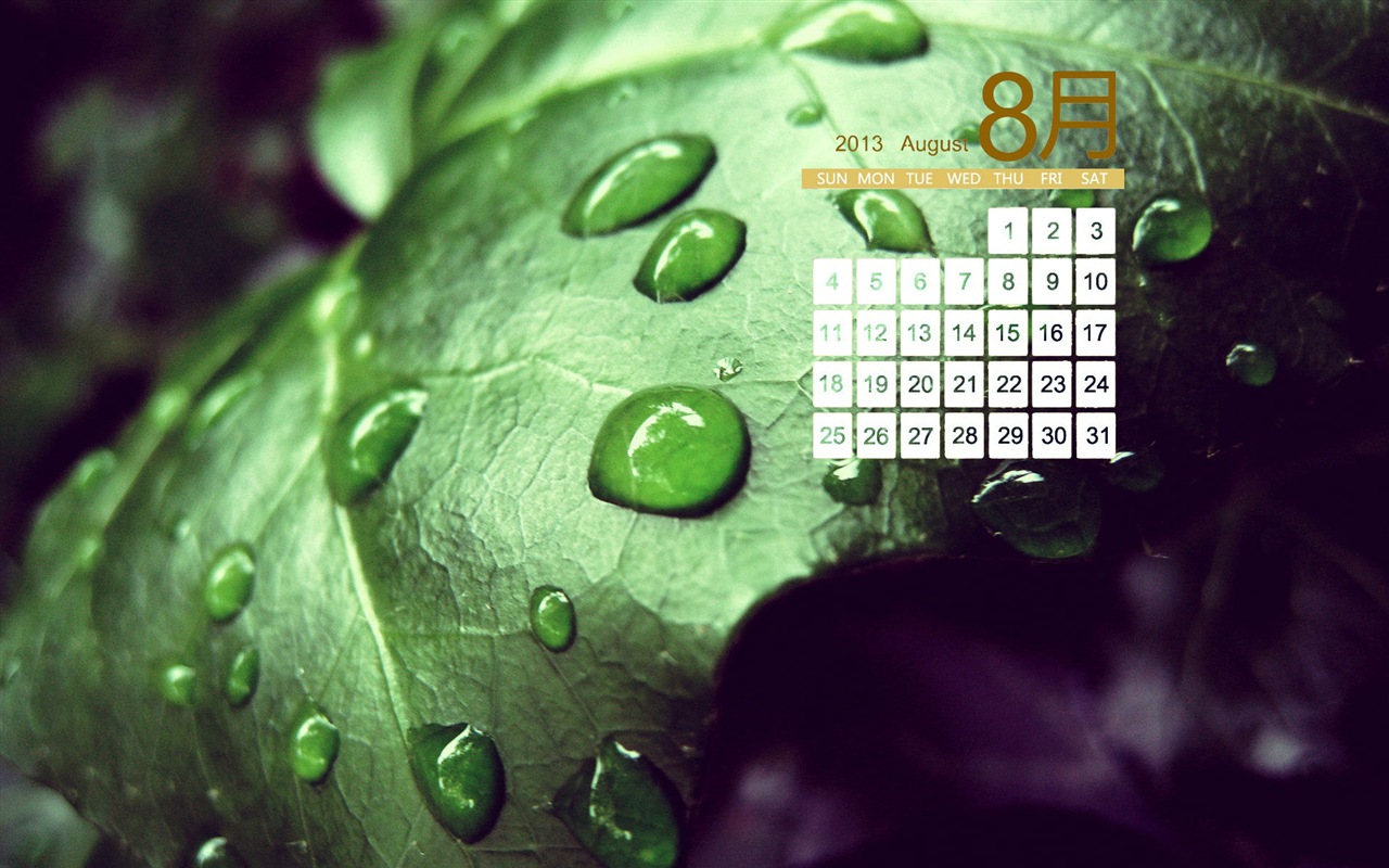 August 2013 calendar wallpaper (1) #16 - 1280x800