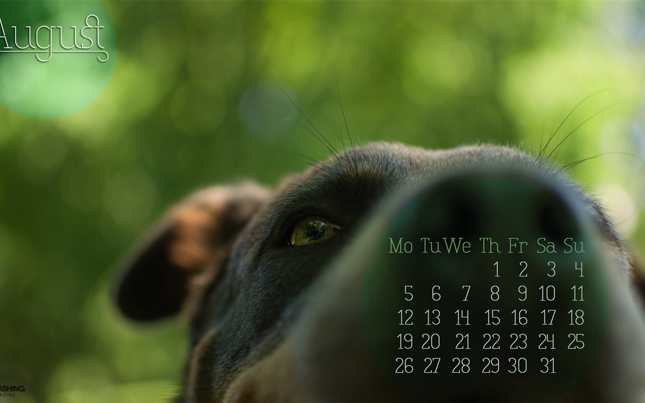 2013年8月 月曆壁紙(二) #15 - 1280x800