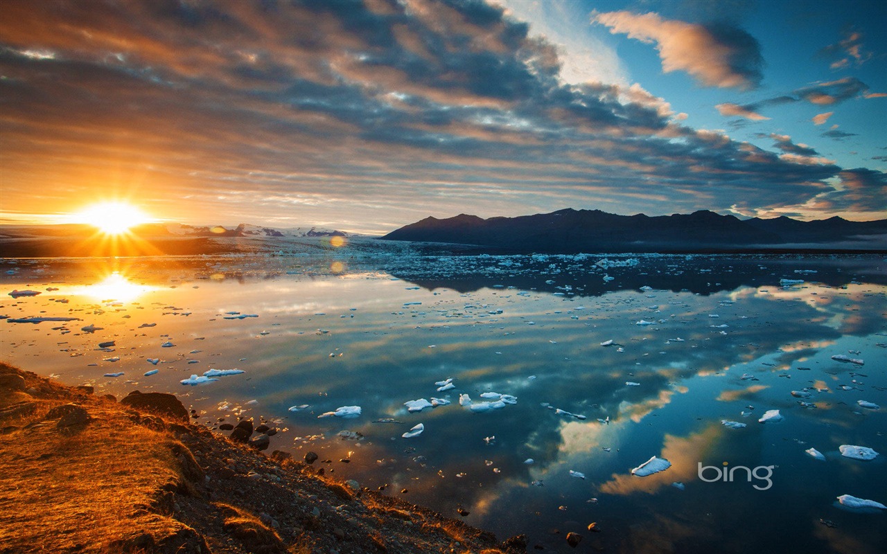 2013 Bing 必應官方動物和風景高清壁紙 #4 - 1280x800