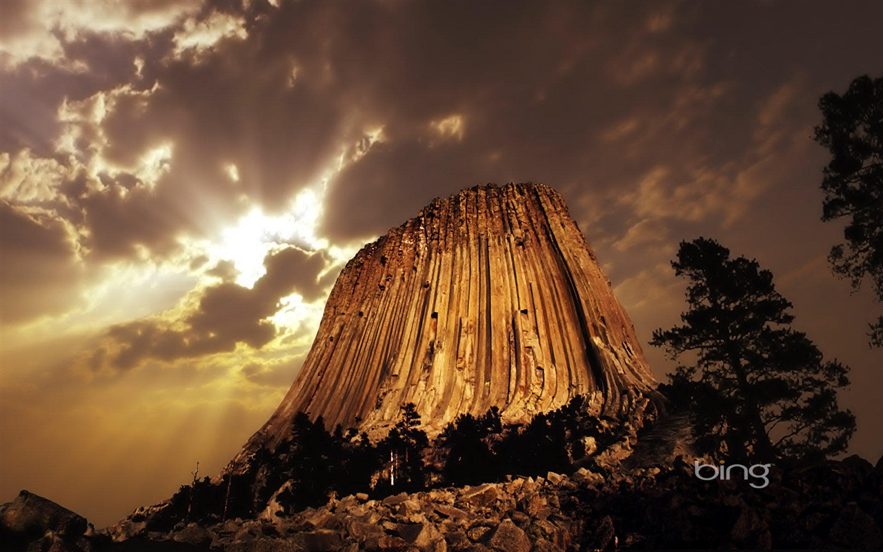 2013 Bing official animals and landscape HD wallpapers #9 - 1280x800