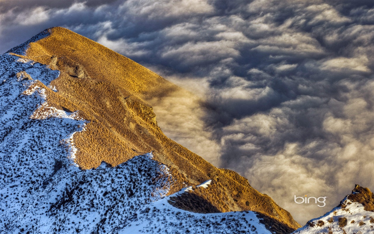 2013 Bing oficiální zvířata a krajiny HD Tapety na plochu #18 - 1280x800
