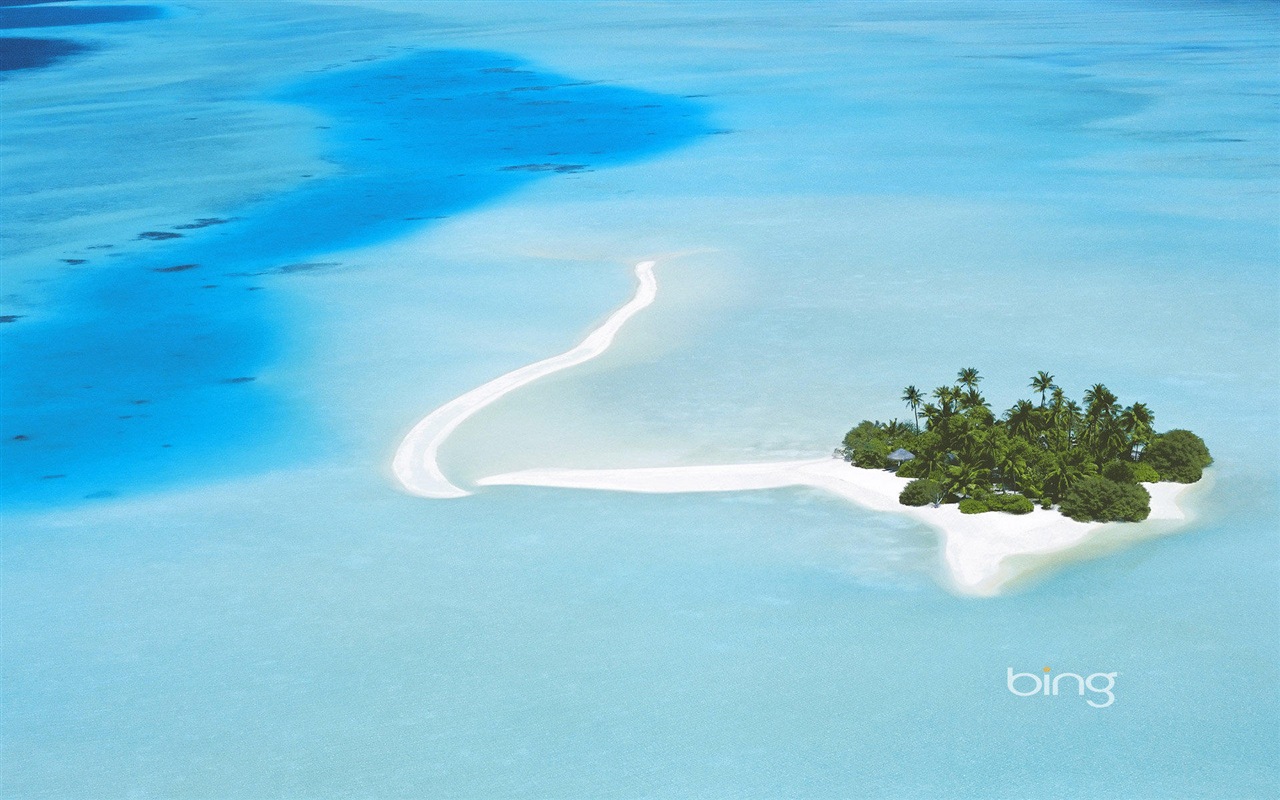 2013 Bing 必應官方動物和風景高清壁紙 #21 - 1280x800