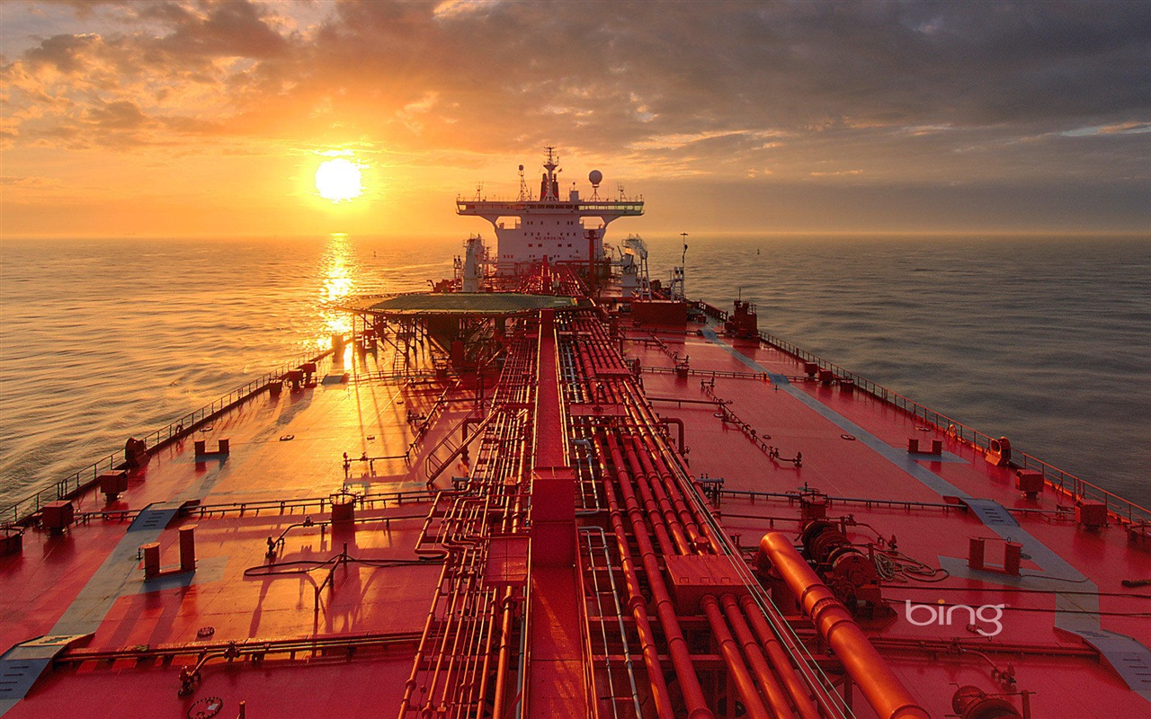 2013 Bing 必應官方動物和風景高清壁紙 #27 - 1280x800