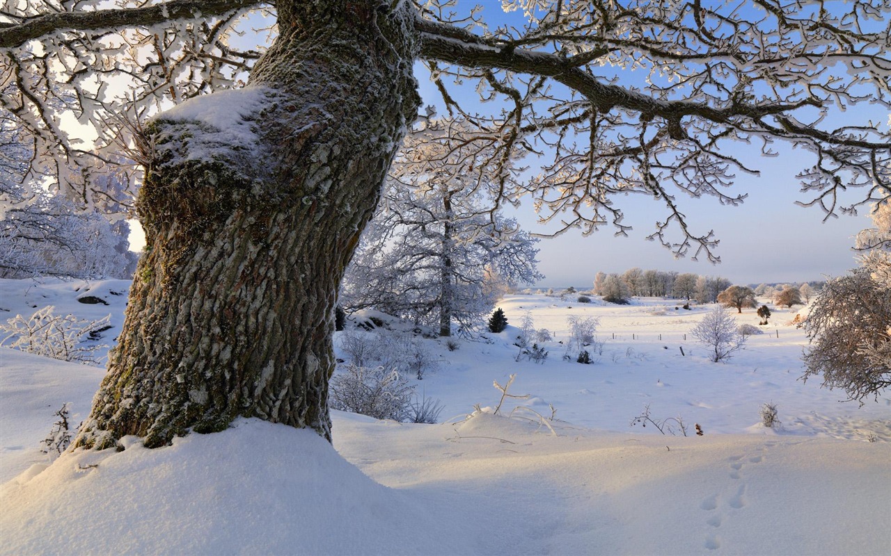Švédsko sezón přírodní krásy HD tapety na plochu #13 - 1280x800