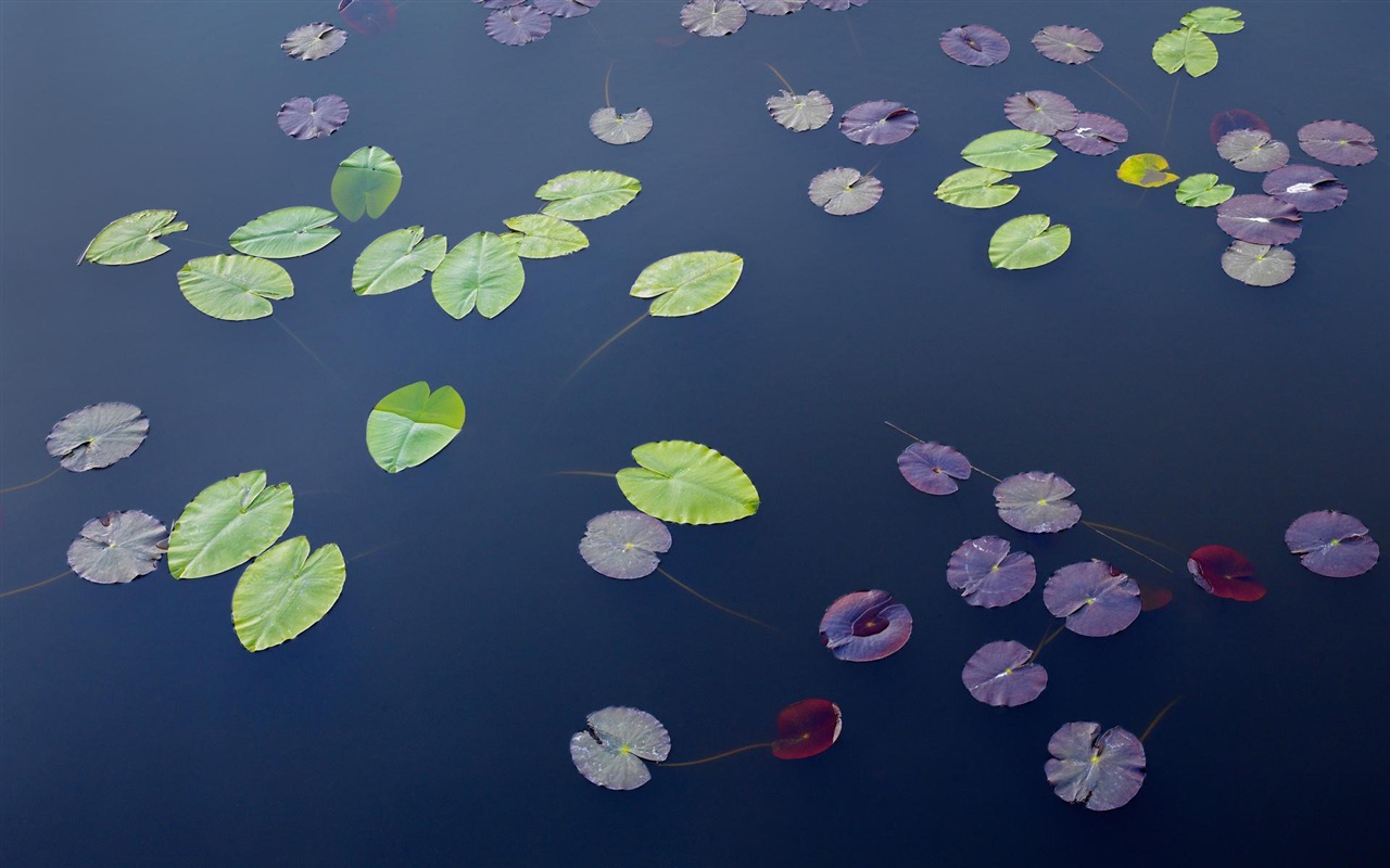瑞典四季自然美景 高清壁紙 #16 - 1280x800