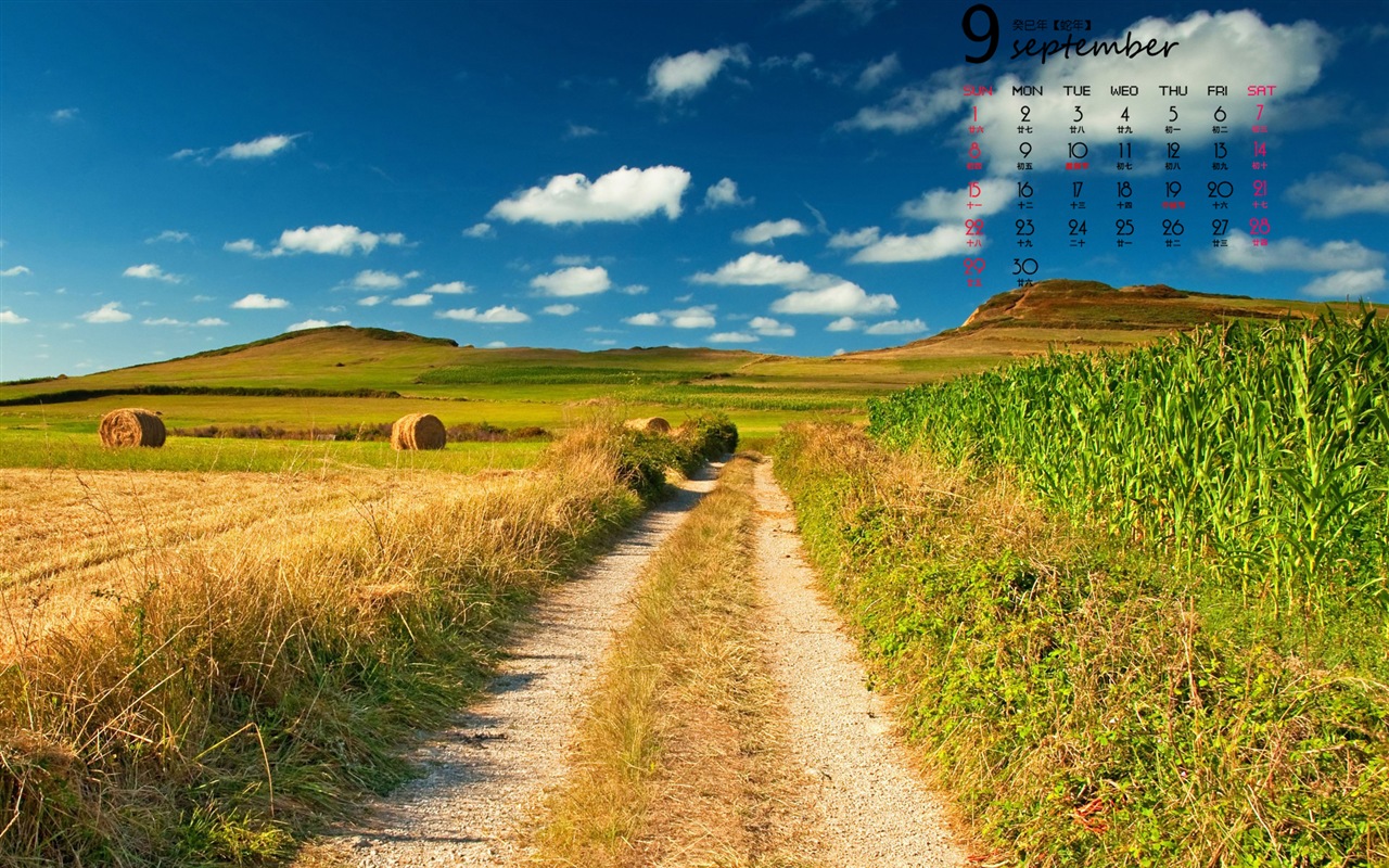 September 2013 Kalender Wallpaper (1) #17 - 1280x800