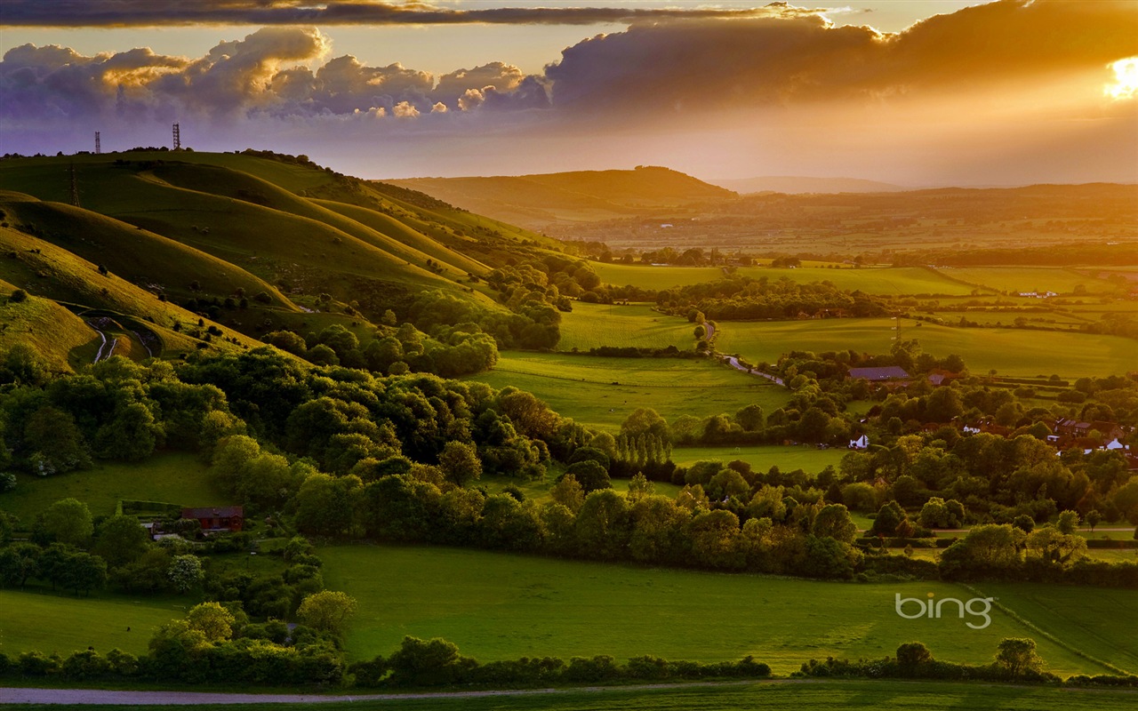 2013 Bing 必应秋季风景、动物、城市高清壁纸18 - 1280x800