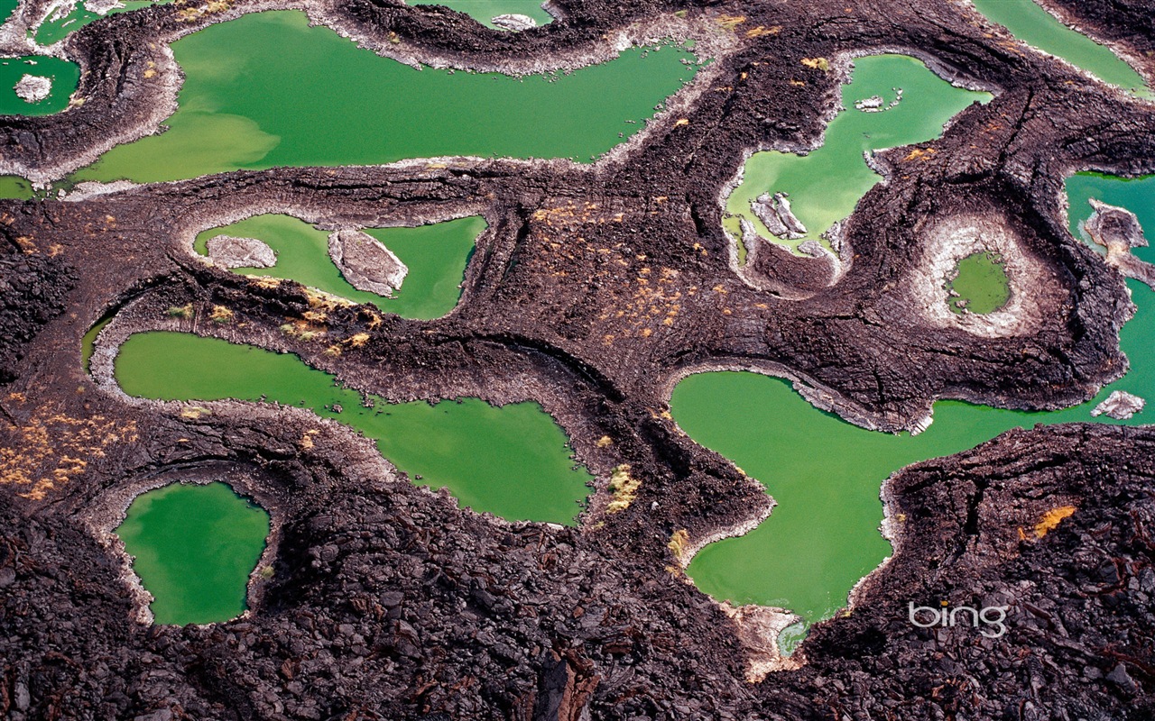 2013 Bing 必應秋季風景、動物、城市高清壁紙 #26 - 1280x800