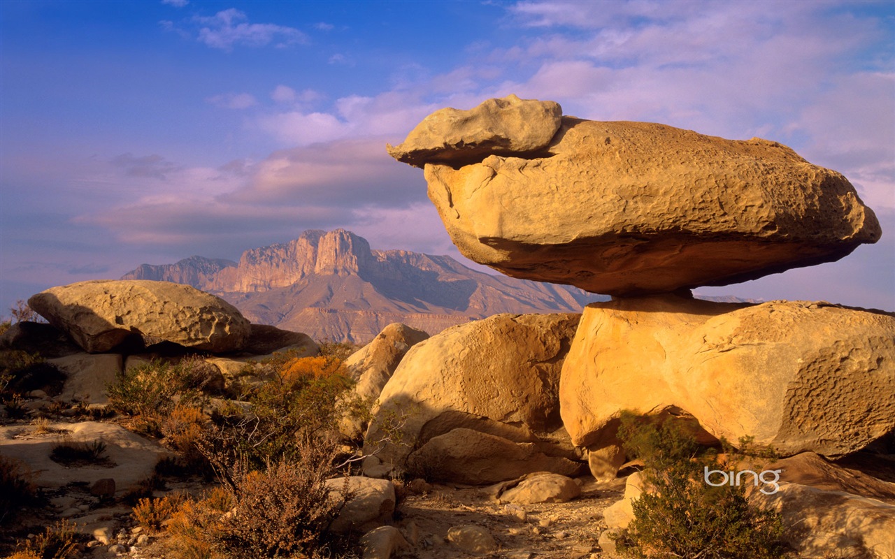 2013 Bing 必应秋季风景、动物、城市高清壁纸29 - 1280x800