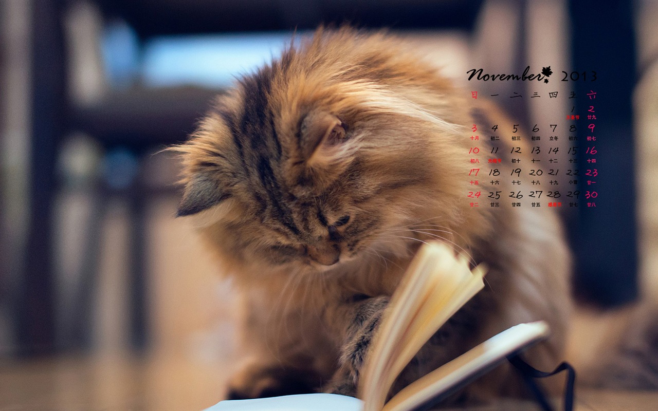 November 2013 Calendar wallpaper (1) #3 - 1280x800