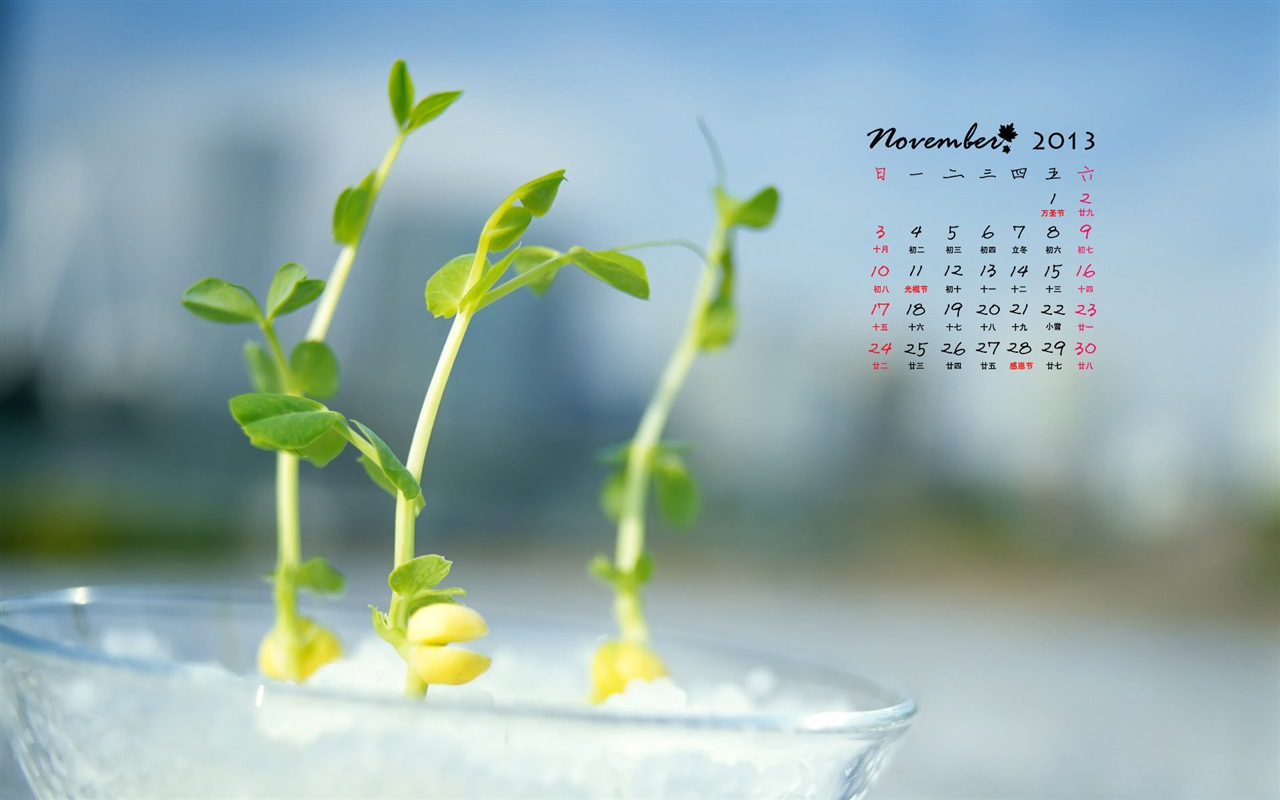 November 2013 Calendar wallpaper (1) #10 - 1280x800