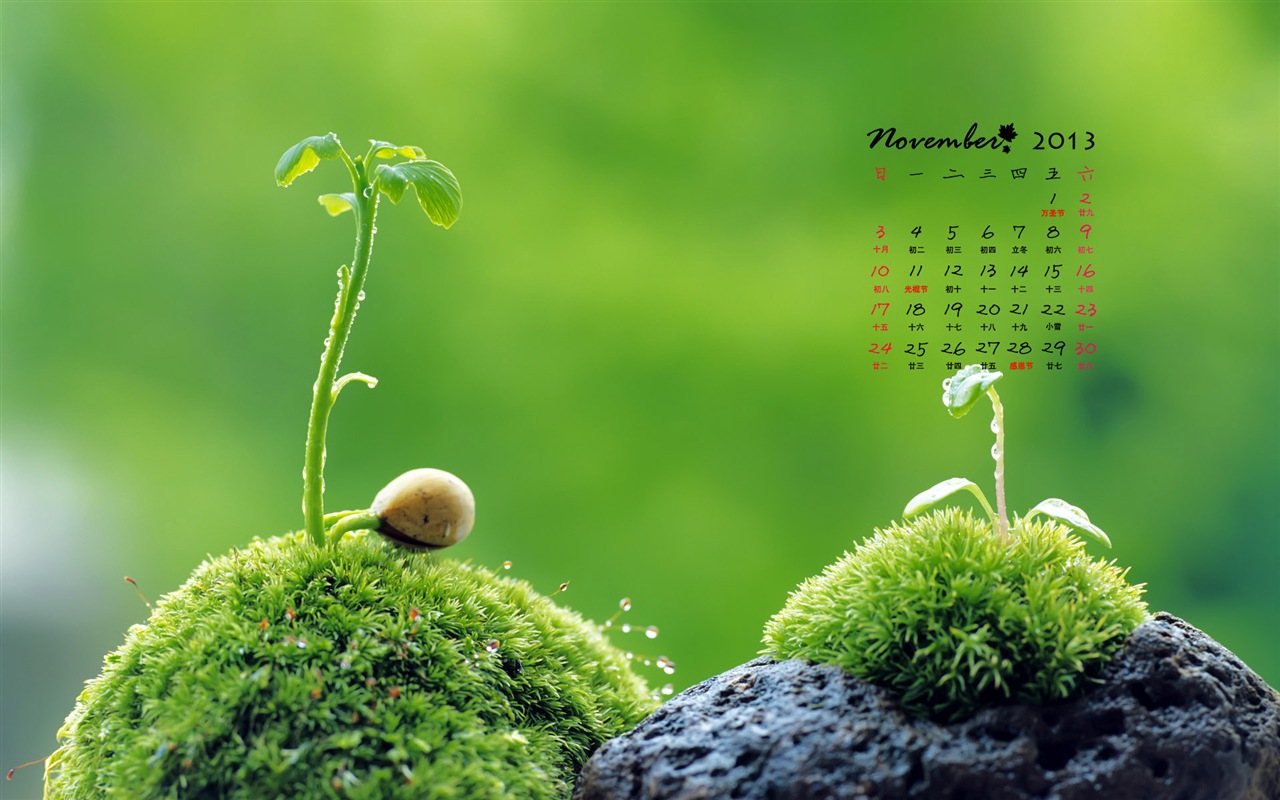 November 2013 Calendar wallpaper (1) #11 - 1280x800