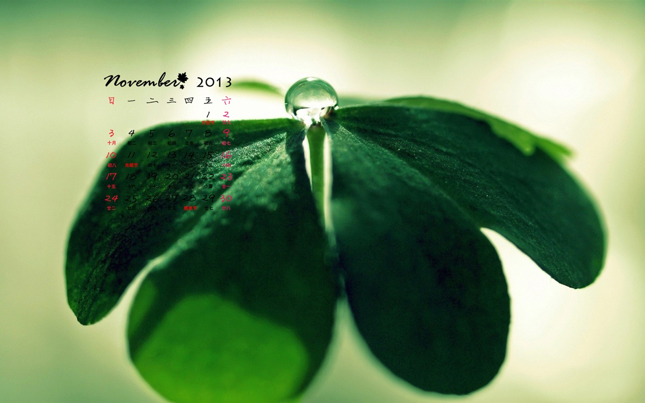 Novembre 2013 Calendar Wallpaper (1) #13 - 1280x800