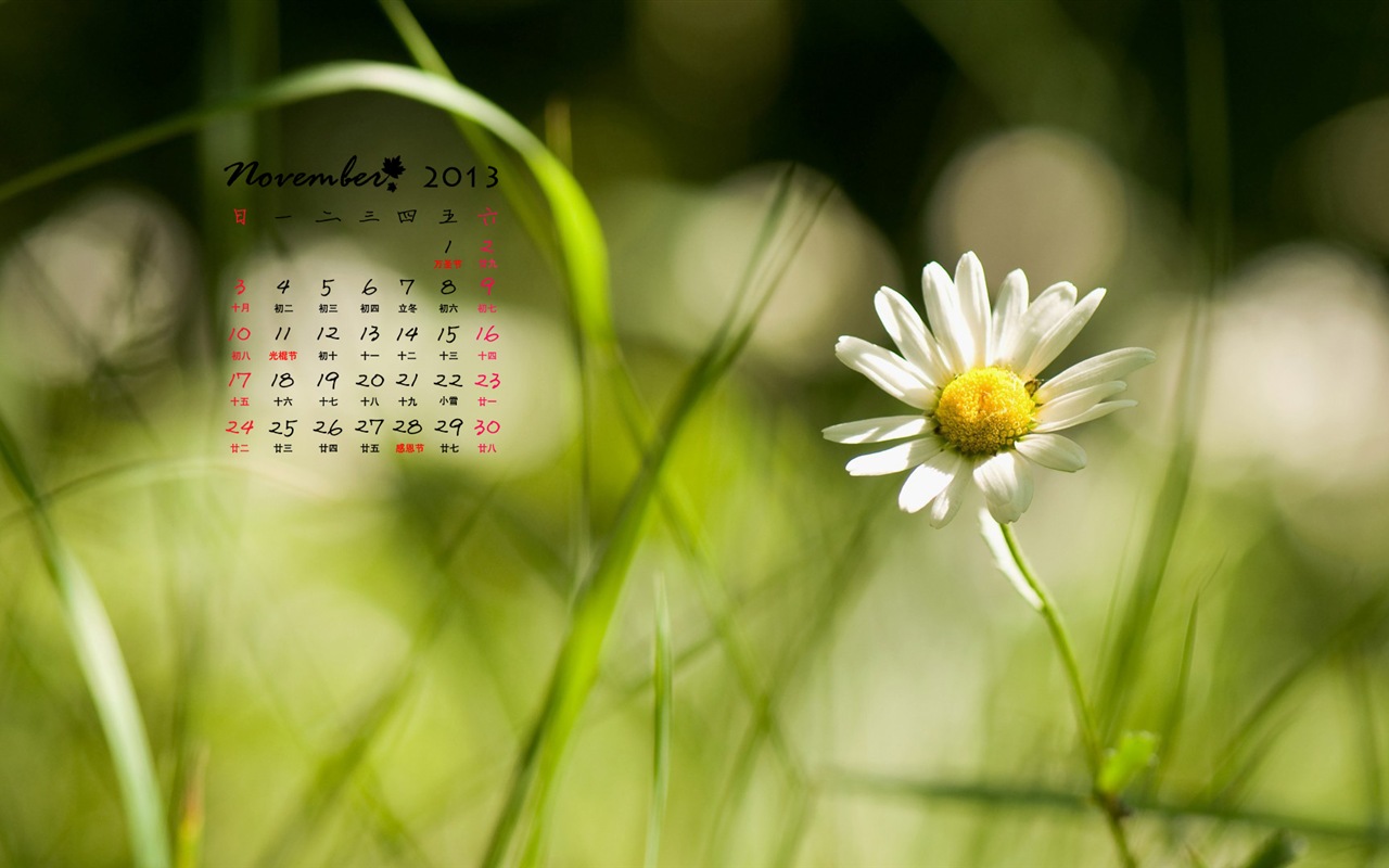 November 2013 Calendar wallpaper (1) #14 - 1280x800