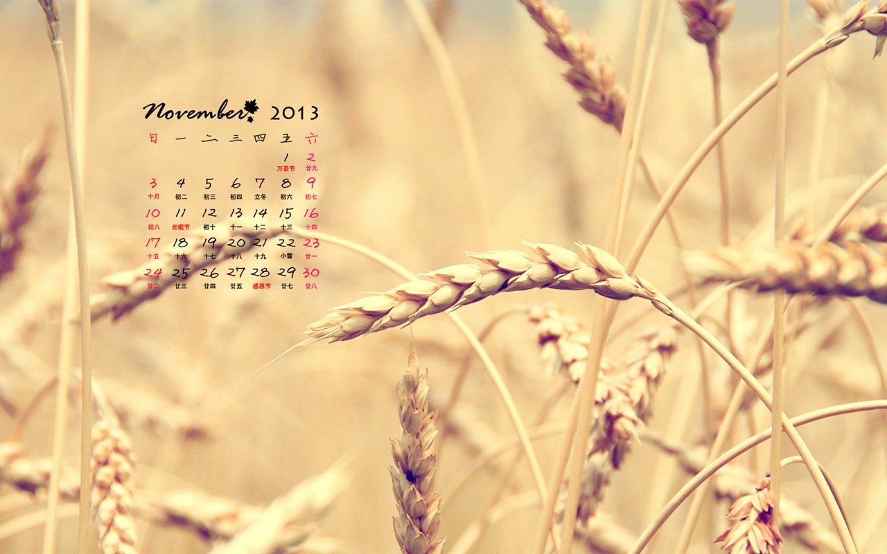 November 2013 Calendar wallpaper (1) #16 - 1280x800