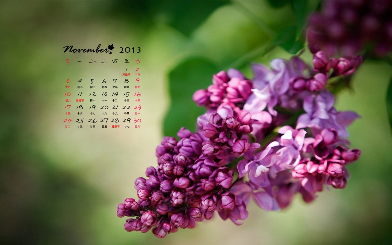 November 2013 Calendar wallpaper (1) #18 - 1280x800