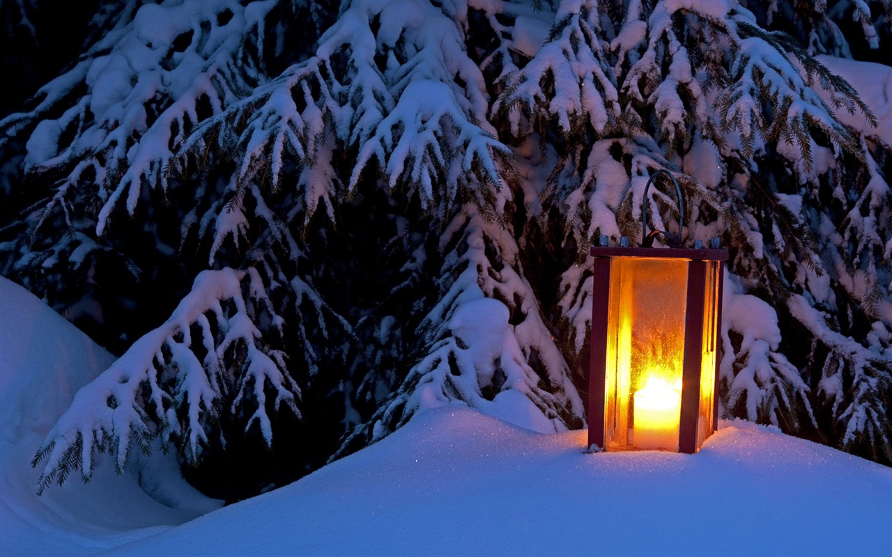 Windows 8 主题高清壁纸：冬季雪的夜景2 - 1280x800