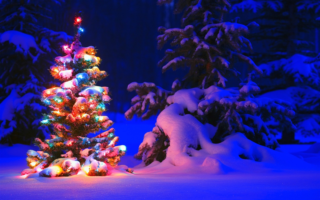 Windows 8 Theme HD Wallpapers: Nieve del invierno noche #4 - 1280x800