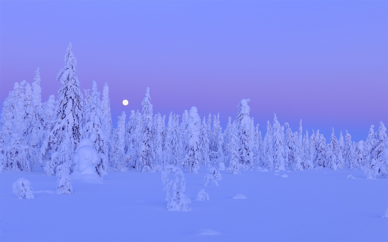 Windows 8 主题高清壁纸：冬季雪的夜景12 - 1280x800