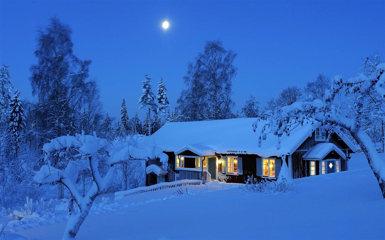 Windows 8 主題高清壁紙：冬季雪的夜景 #13 - 1280x800