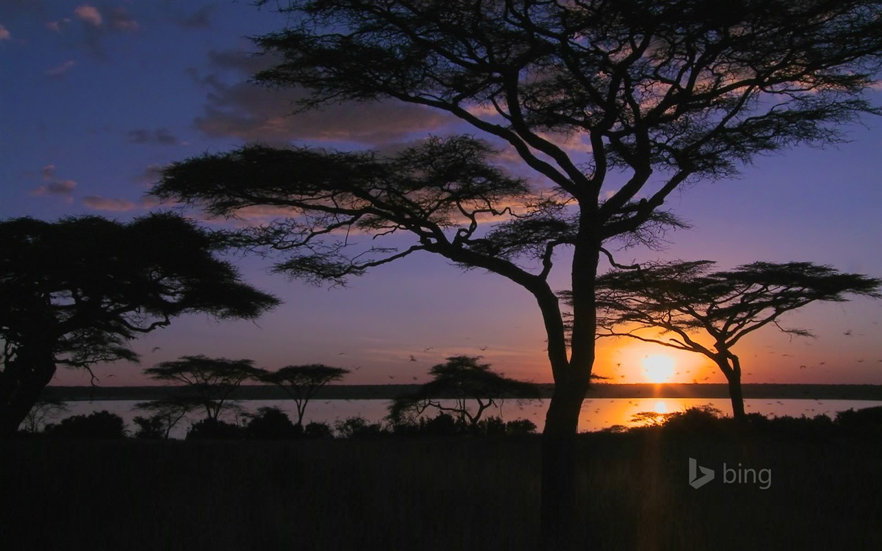 Microsoft bing November exquisite HD wallpaper #10 - 1280x800