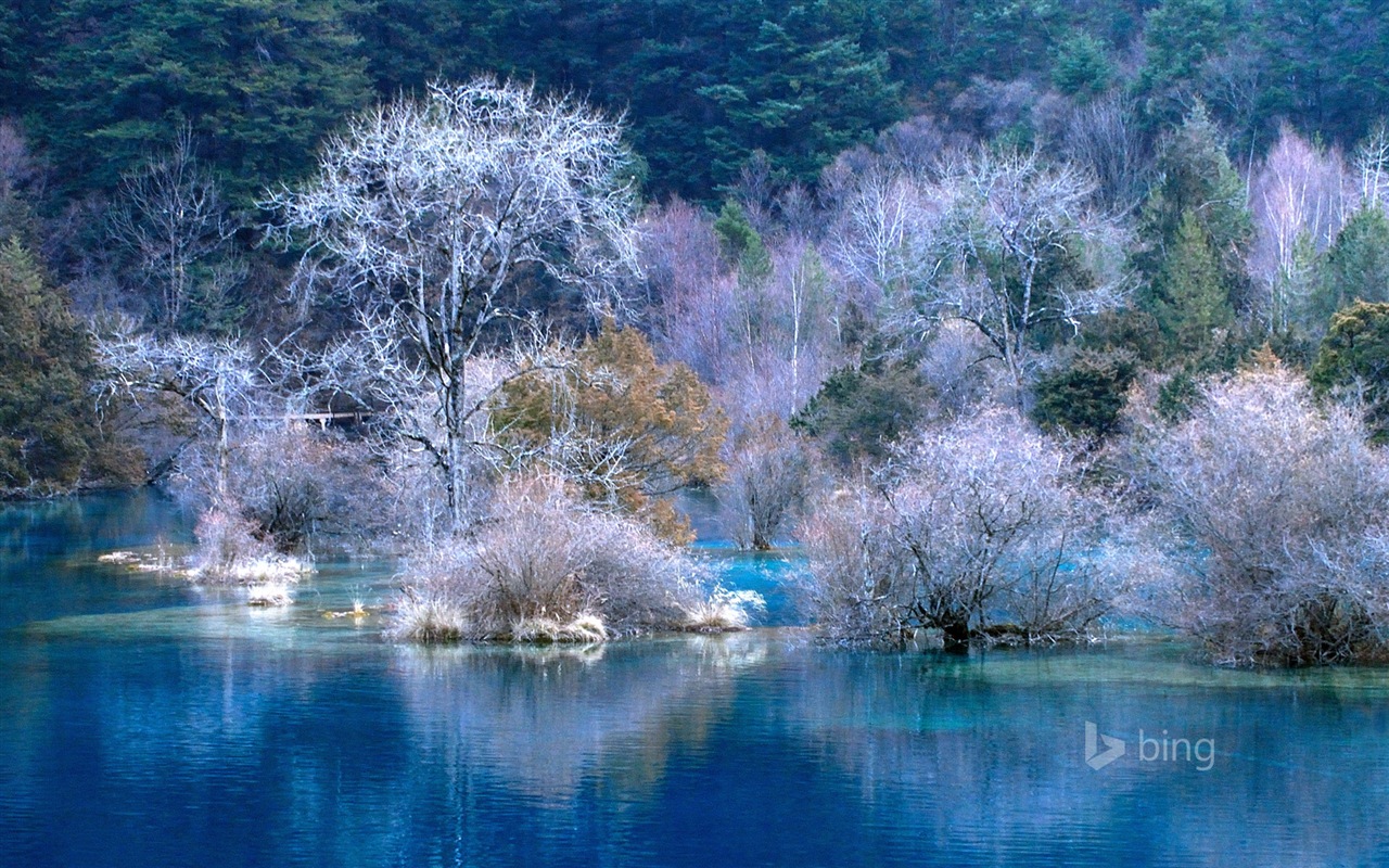 Microsoft Bing noviembre fondos de pantalla de alta definición exquisita #12 - 1280x800