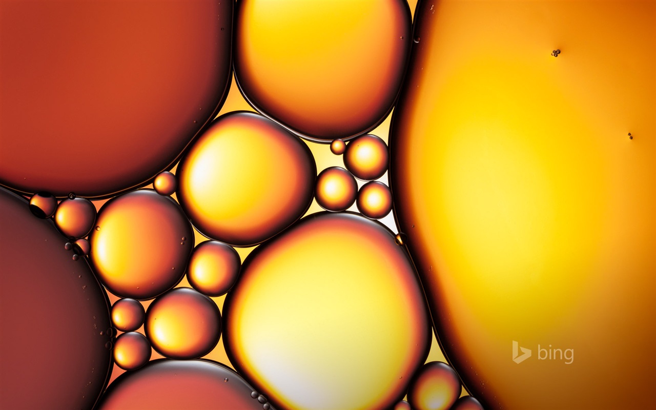 Microsoft Bing listopadu vynikající HD tapety na plochu #16 - 1280x800