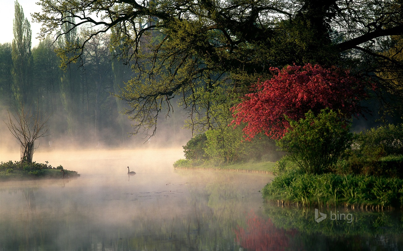 Microsoft bing November exquisite HD wallpaper #25 - 1280x800