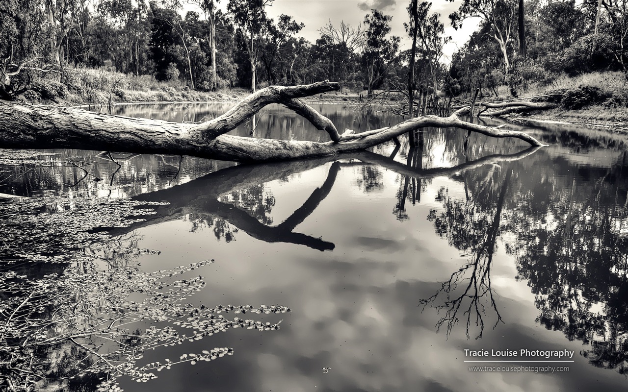Queensland, Australie, de beaux paysages, fonds d'écran Windows 8 thème HD #11 - 1280x800