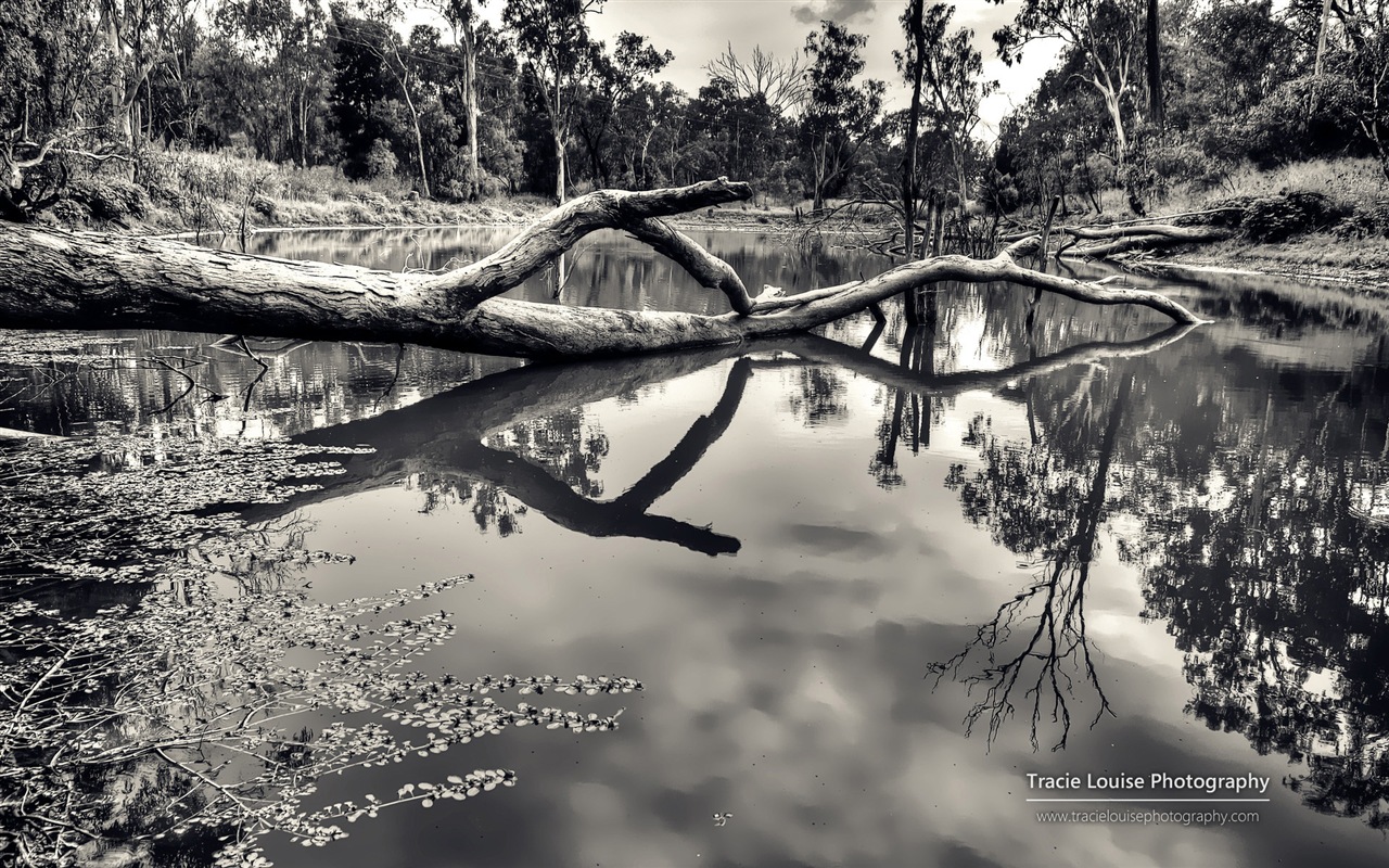 Queensland, Austrálie, krásné scenérie, Windows 8 téma HD Tapety na plochu #11 - 1280x800