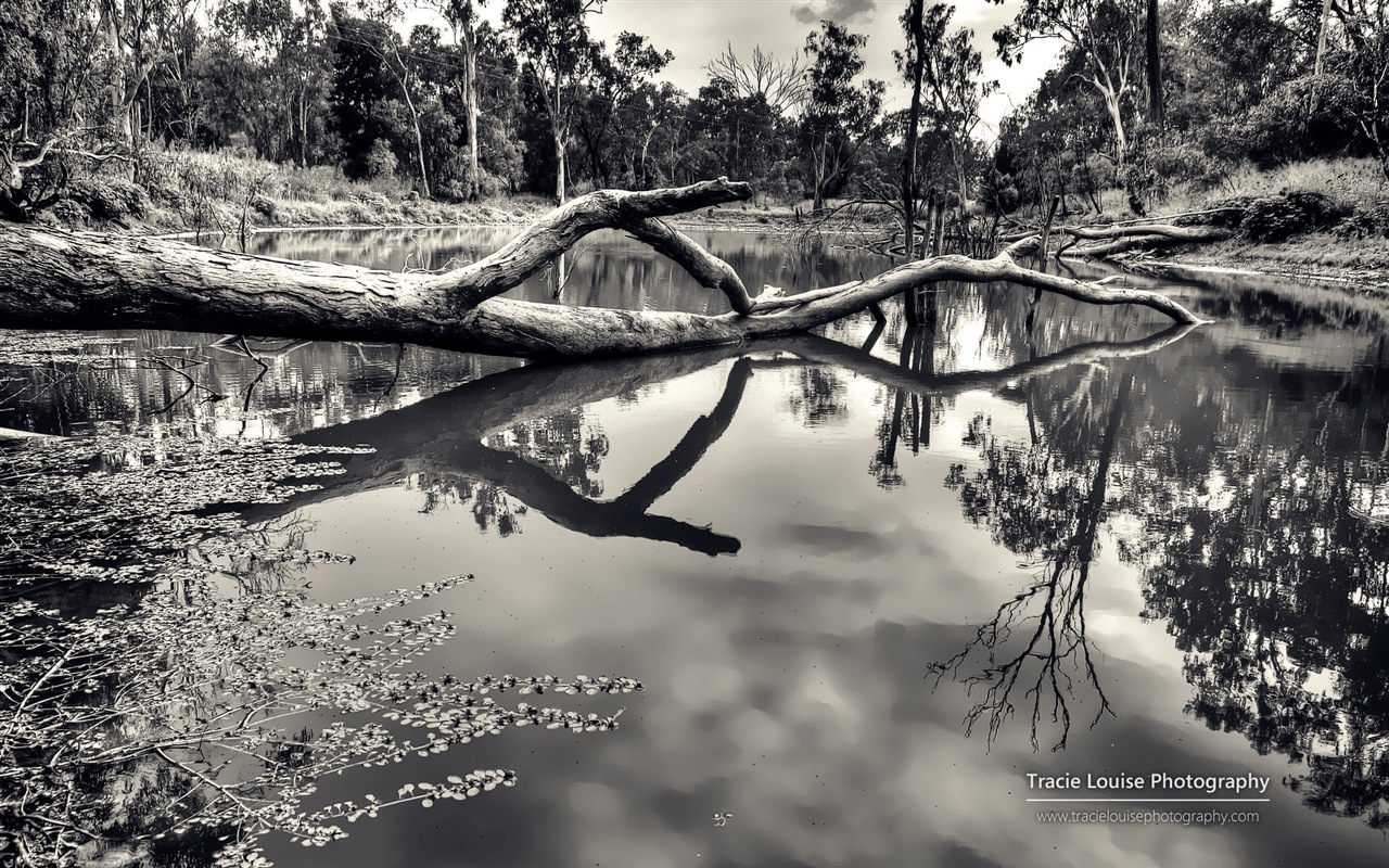 Queensland, Australia, hermosos paisajes, fondos de pantalla de Windows 8 tema de HD #11 - 1280x800