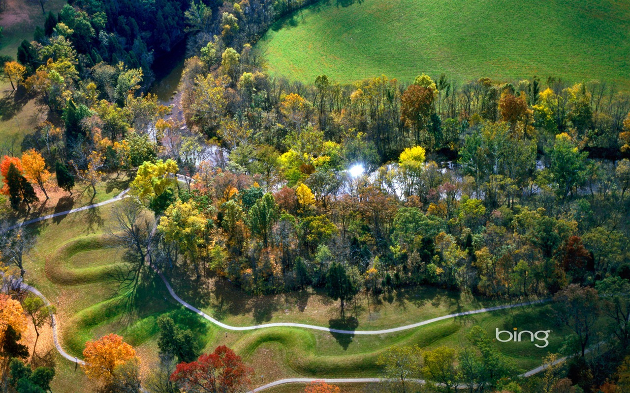 Bing 必应2014年1月壁纸精选11 - 1280x800