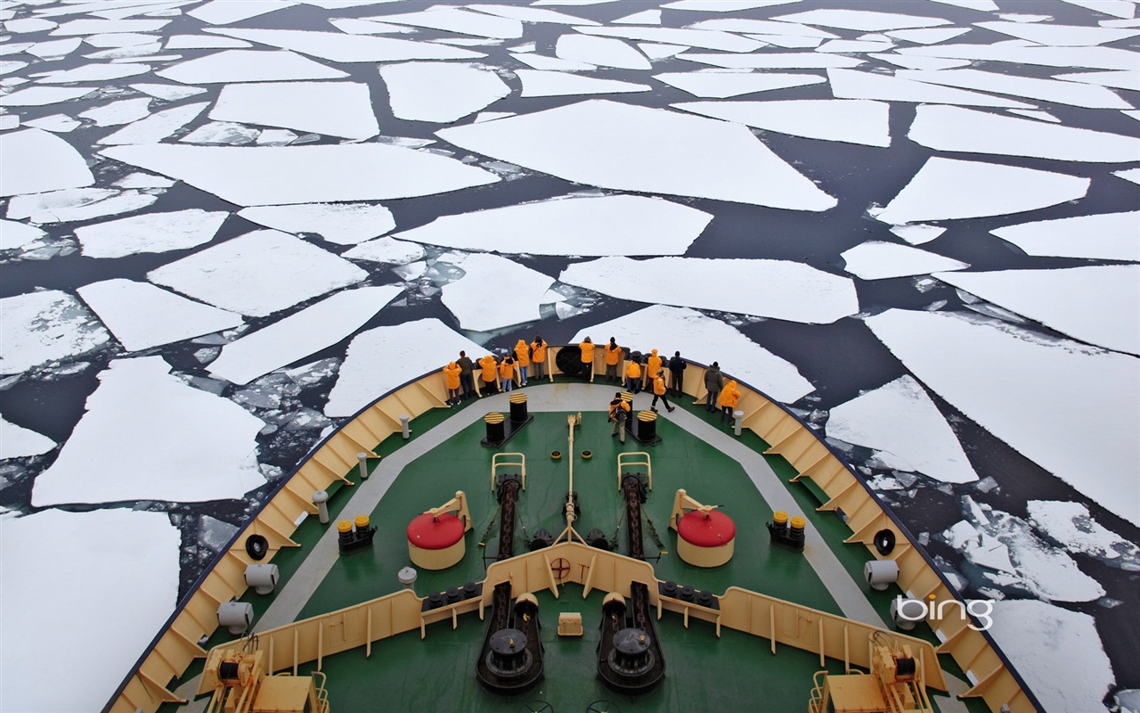 Bing výběr tapeta v lednu 2014 #14 - 1280x800