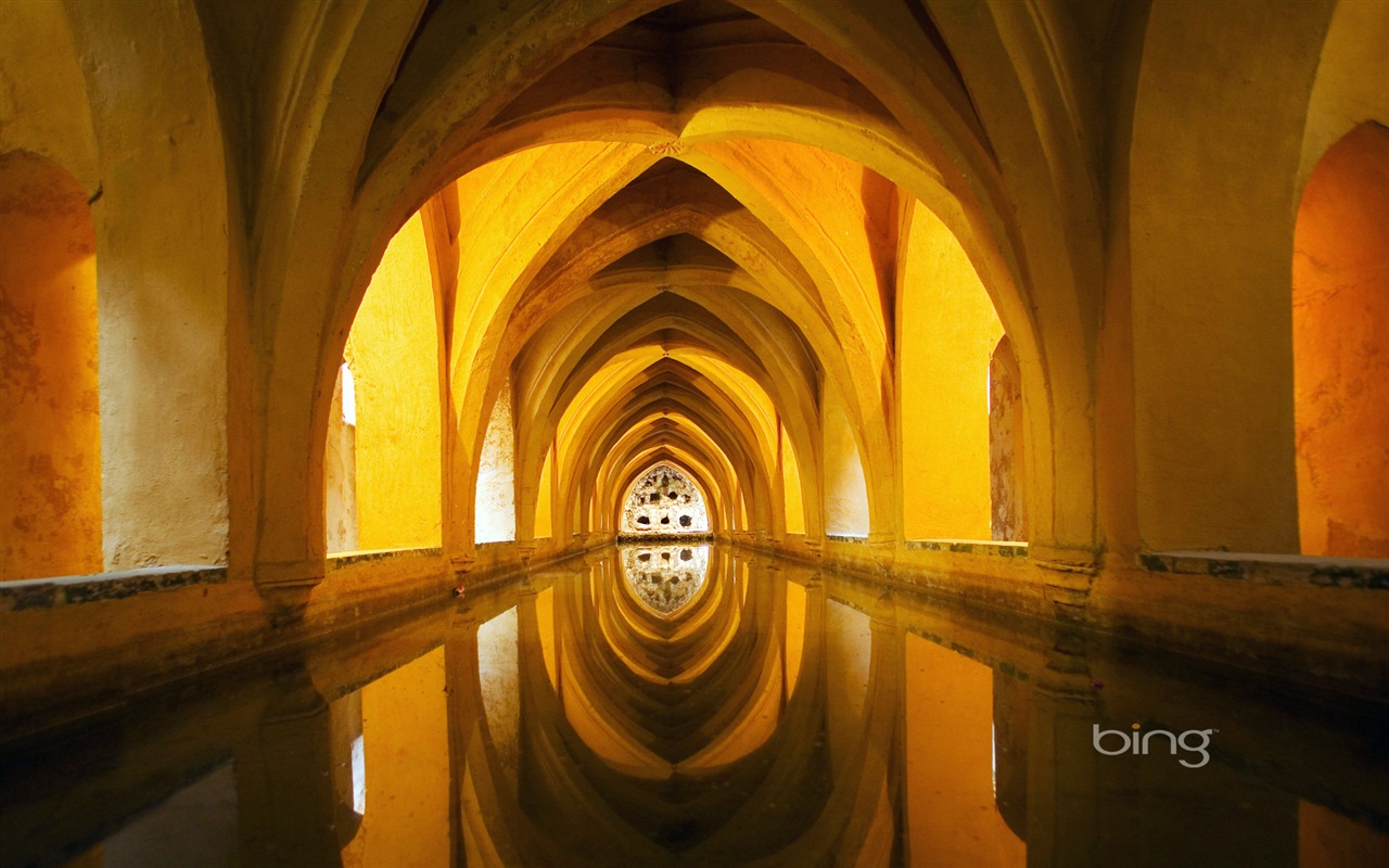 Bing výběr tapeta v lednu 2014 #16 - 1280x800