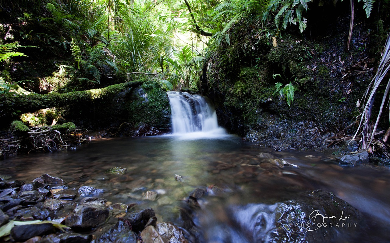 Nouvelle-Zélande Île du Nord de beaux paysages, Windows 8 fonds d'écran thématiques #8 - 1280x800