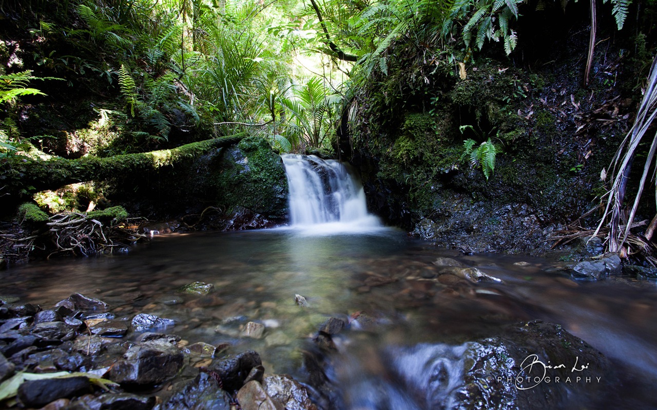 New Zealand North Island beautiful scenery, Windows 8 theme wallpapers #8 - 1280x800