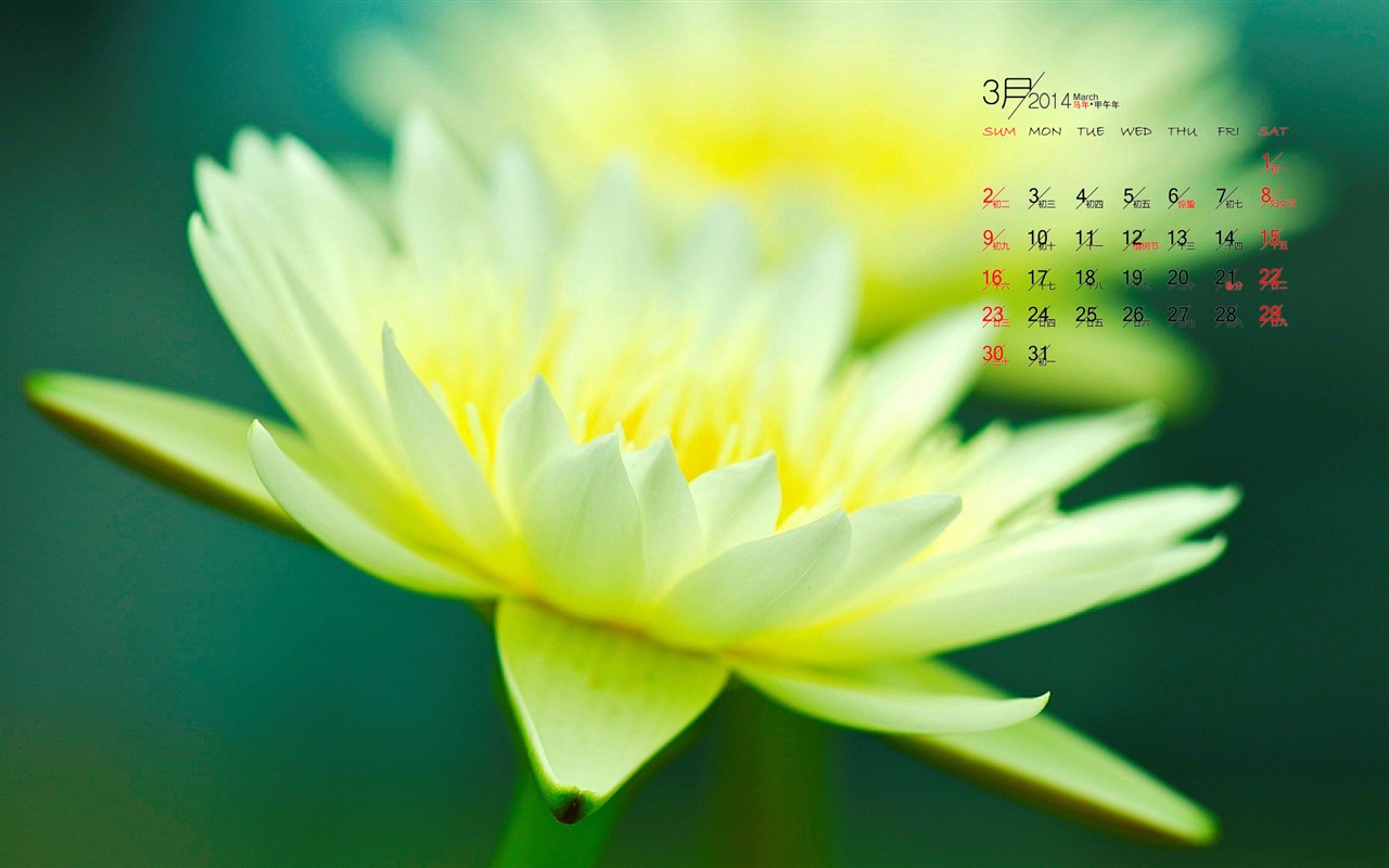 2014年3月 月曆壁紙(一) #6 - 1280x800