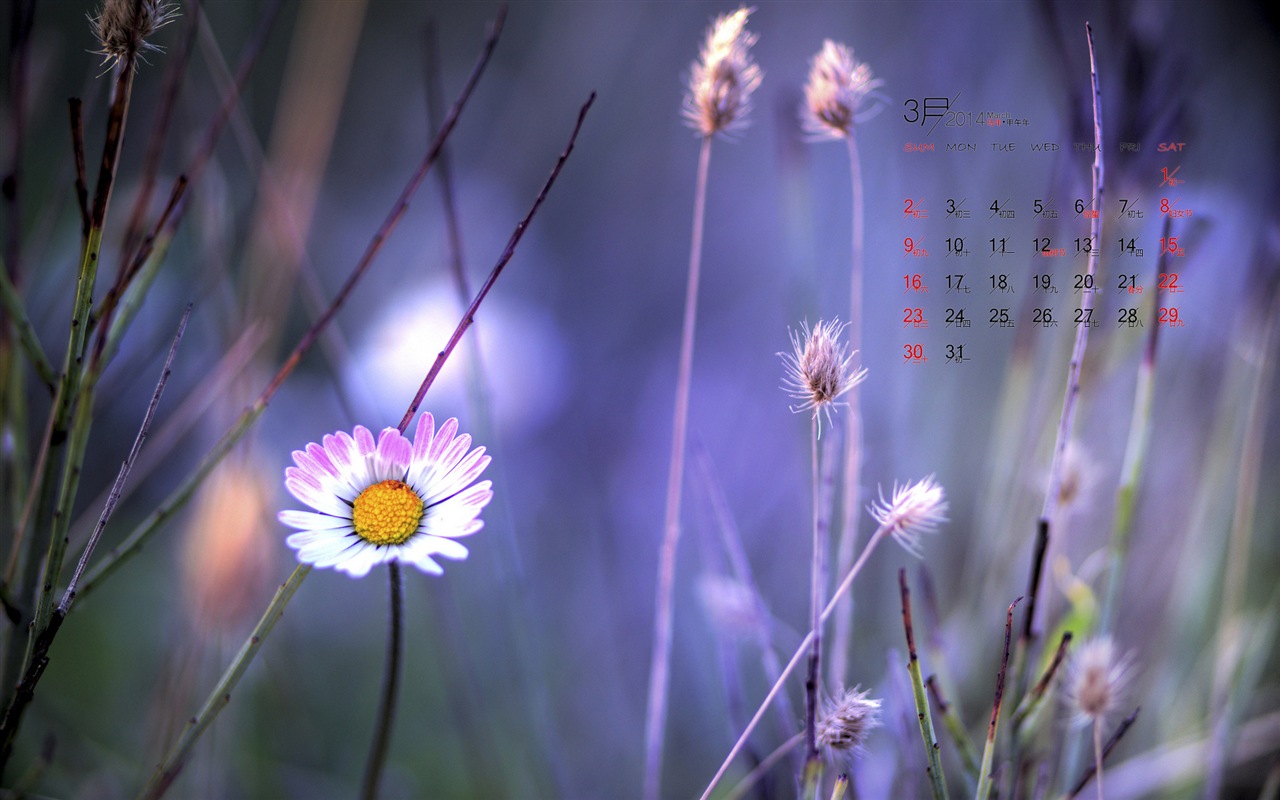 März 2014 Kalender Wallpaper (1) #7 - 1280x800