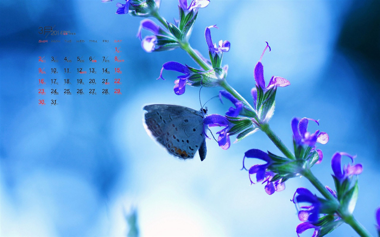 2014年3月 月曆壁紙(一) #9 - 1280x800