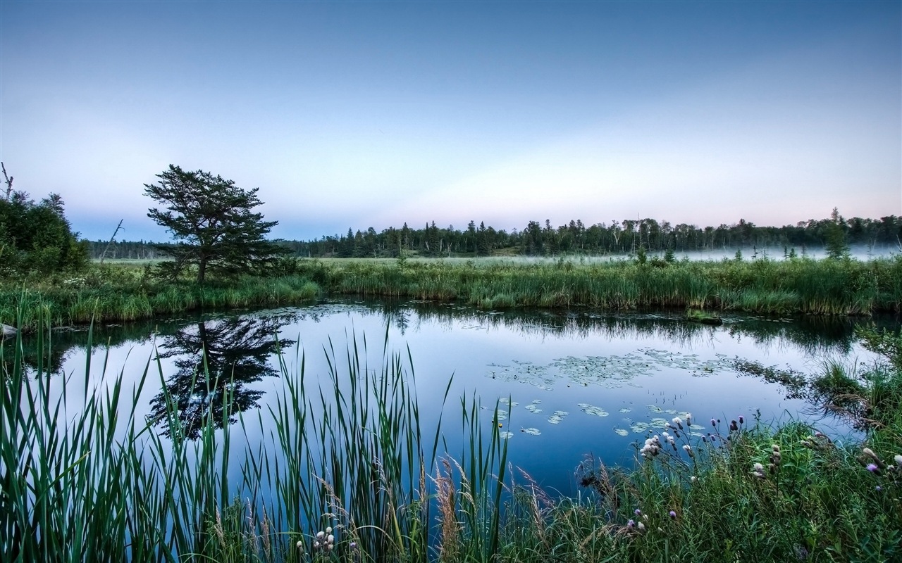 Réflexion dans le fond d'un paysage naturel de l'eau #11 - 1280x800