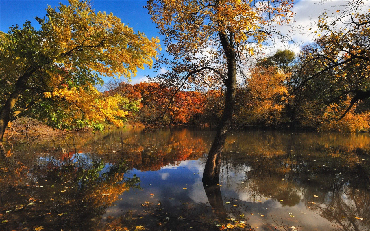 Réflexion dans le fond d'un paysage naturel de l'eau #14 - 1280x800