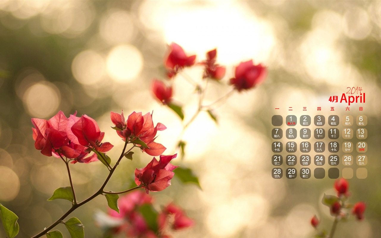 2014年4月 月曆壁紙(一) #6 - 1280x800
