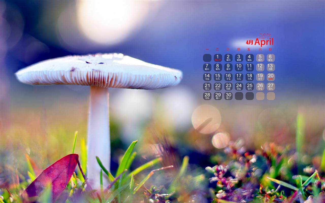 April 2014 Kalender Wallpaper (1) #14 - 1280x800