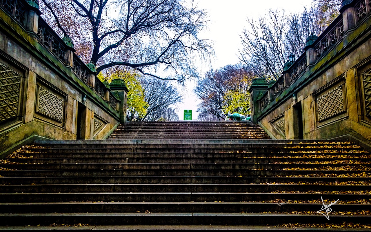 Paysages urbains de New York, Microsoft Windows 8 fonds d'écran HD #4 - 1280x800