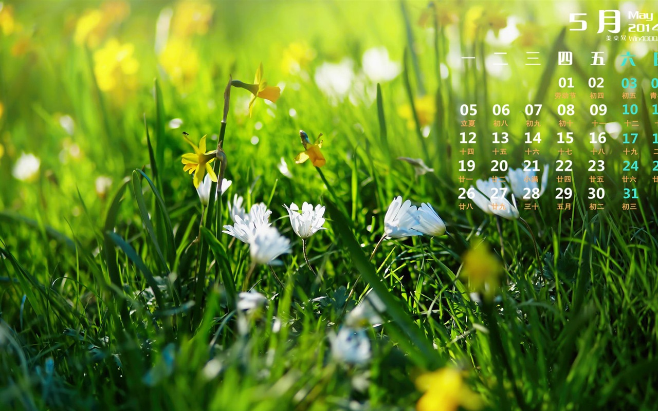 2014年5月 月曆壁紙(一) #8 - 1280x800