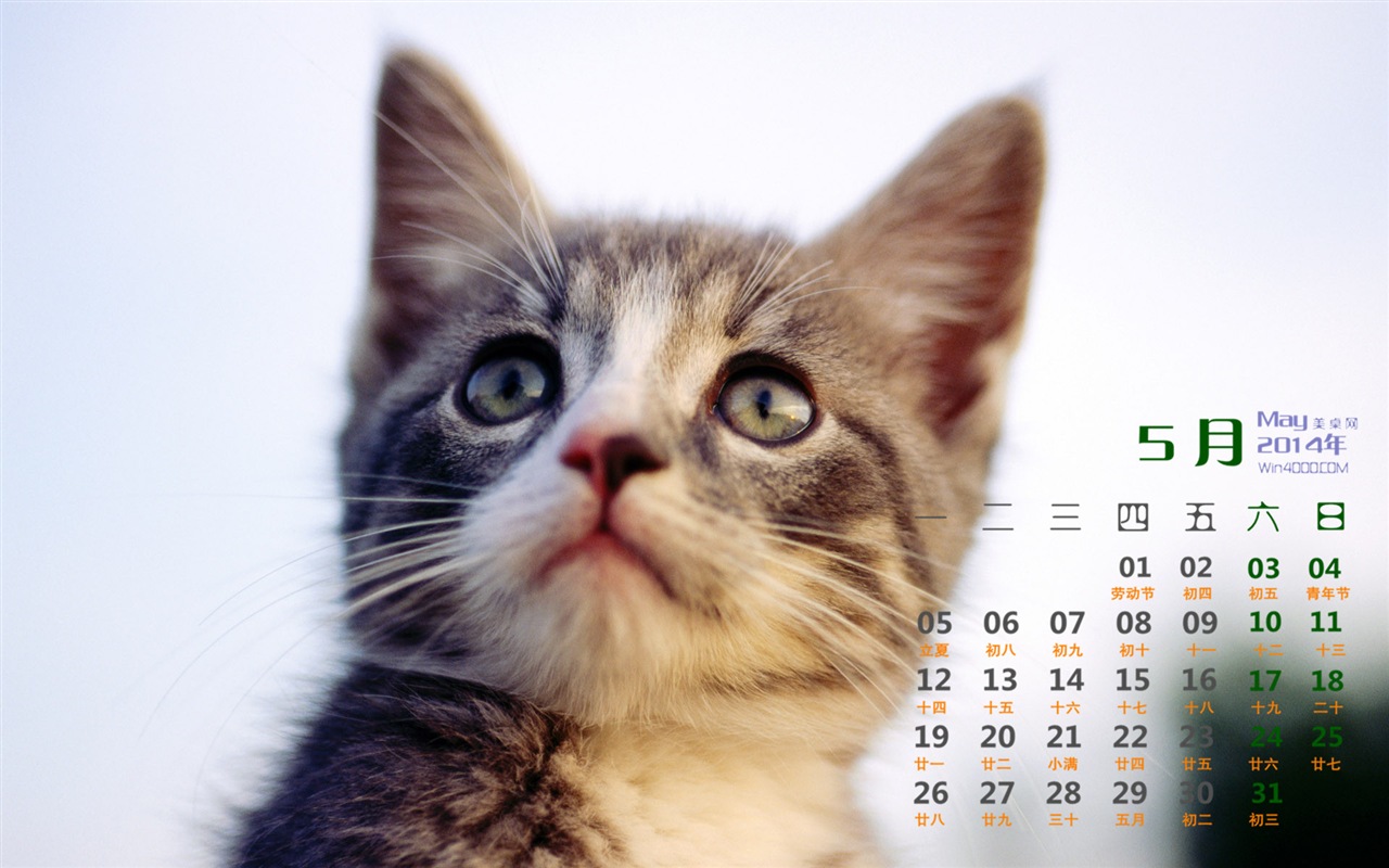 2014年5月 月曆壁紙(一) #13 - 1280x800