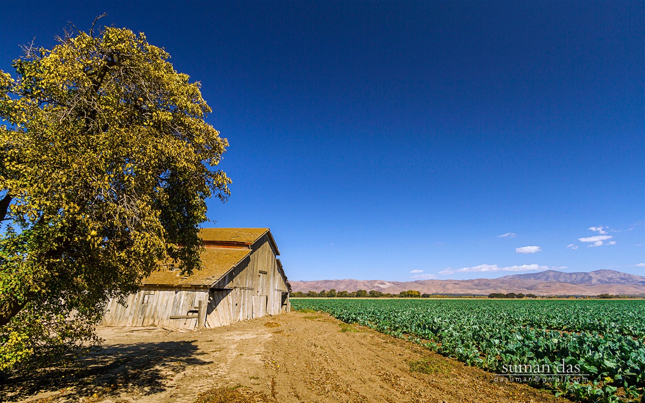 Californie paysages côtiers, Windows 8 fonds d'écran thématiques #4 - 1280x800