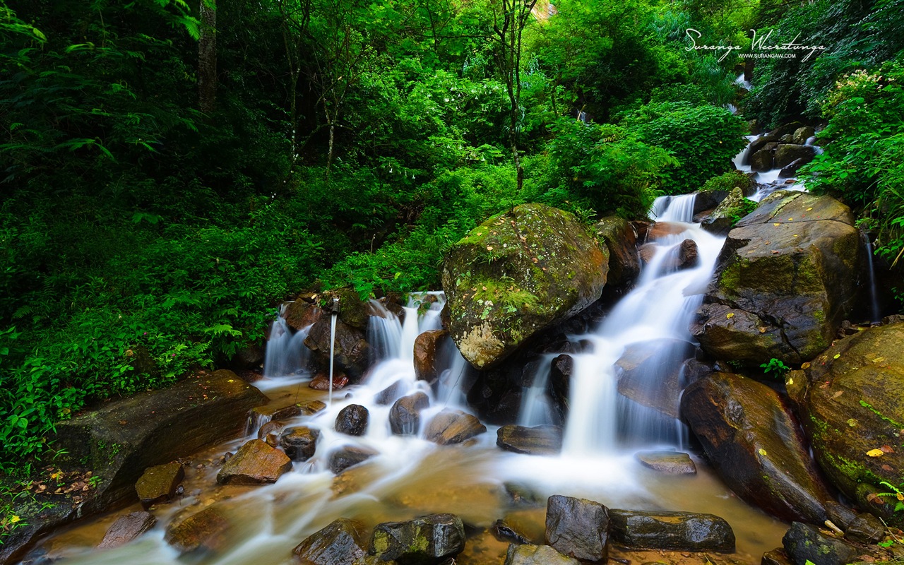 Estilo de paisaje Sri Lanka, Windows 8 tema fondos de pantalla #9 - 1280x800