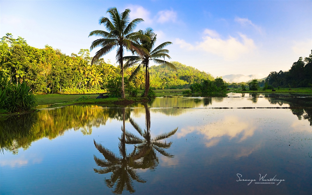 Estilo de paisaje Sri Lanka, Windows 8 tema fondos de pantalla #11 - 1280x800