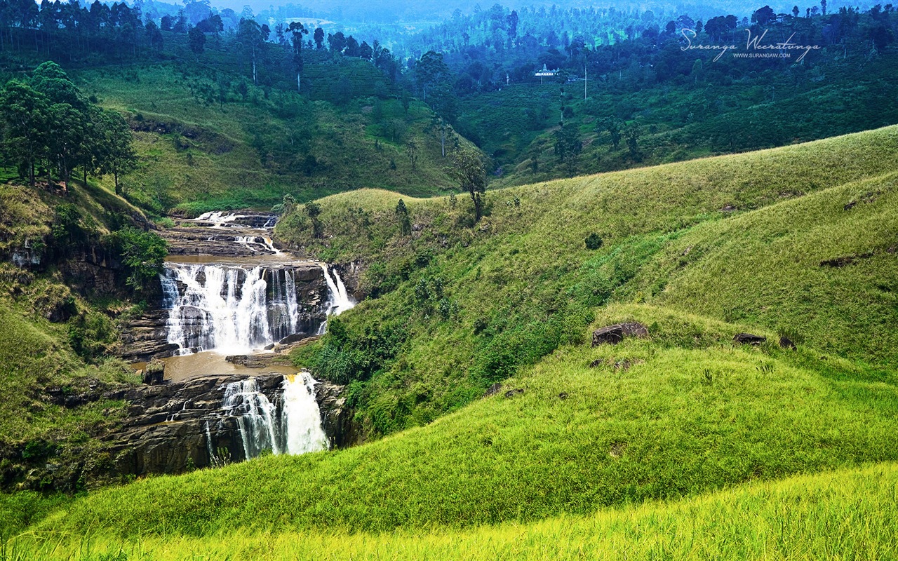 Sri Lanka style de paysage, Windows 8 fonds d'écran thématiques #17 - 1280x800